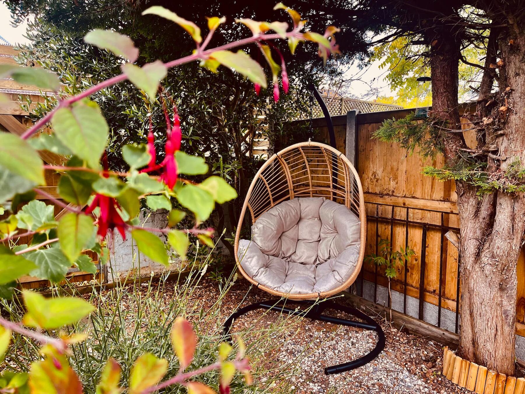 A hanging egg chair beneath the tree at the back of the garden