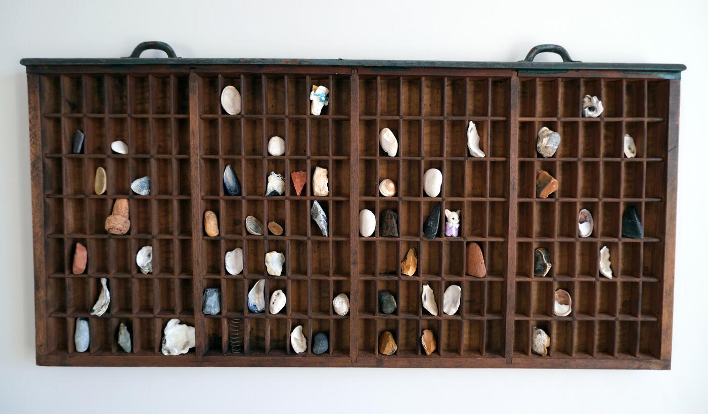 A tray of shells collected on the beach